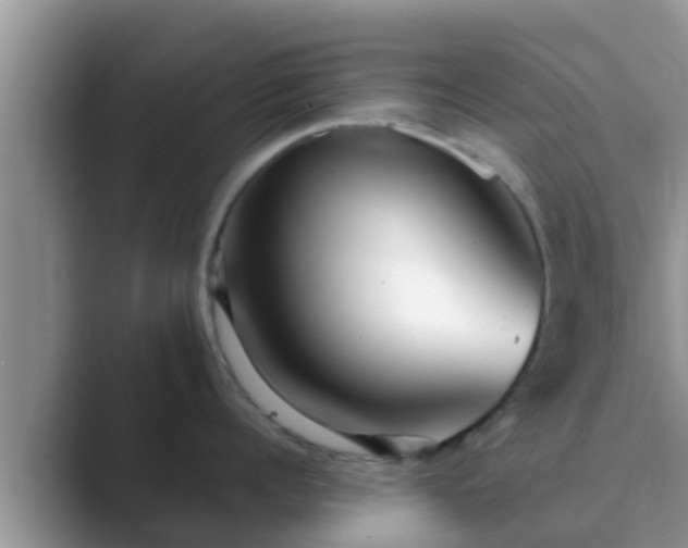 X0000089880960200707051208