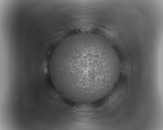 X0000089880962200707051207