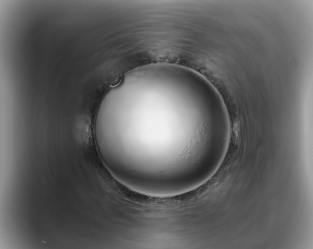 X0000089880963200707051207