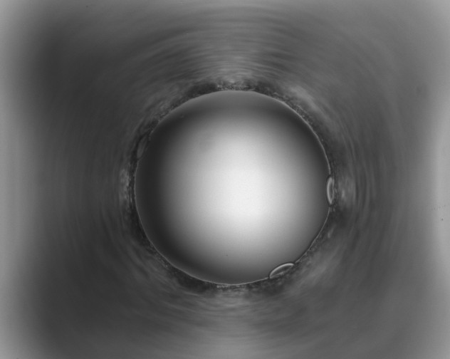 X0000089880964200707051207