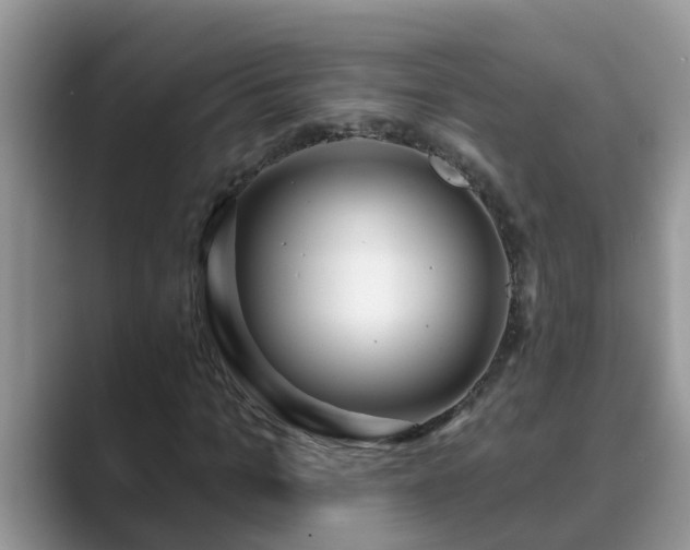 X0000089880965200707051207