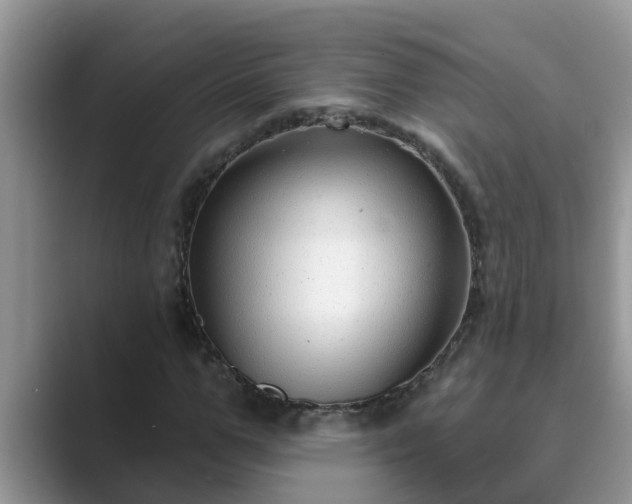 X0000089880967200707051207