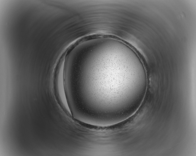 X0000089880972200707051207