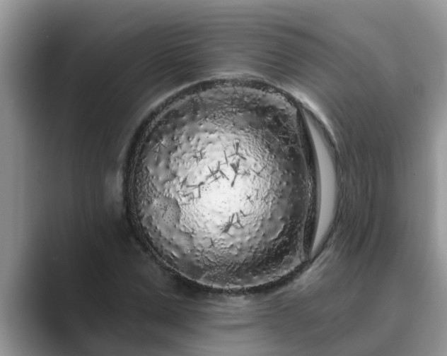 X0000089880975200707051207