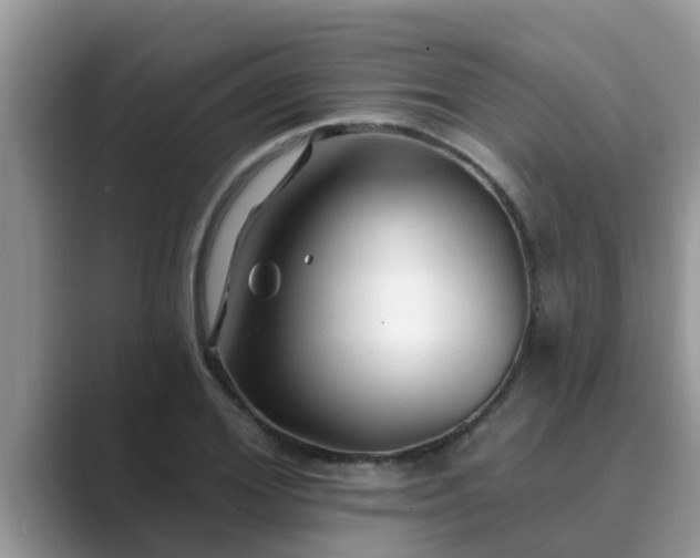 X0000089880980200707051207