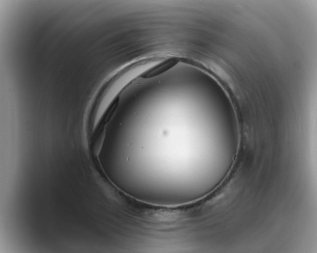 X0000089880981200707051207