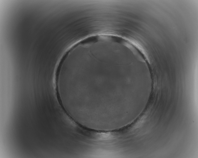 X0000089880990200707051207