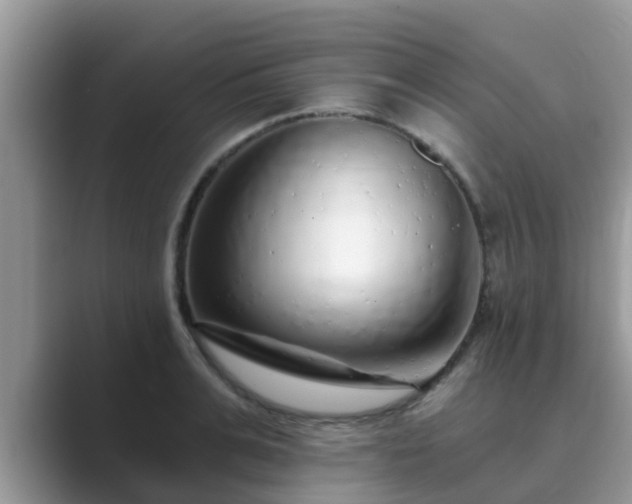 X0000089880991200707051207