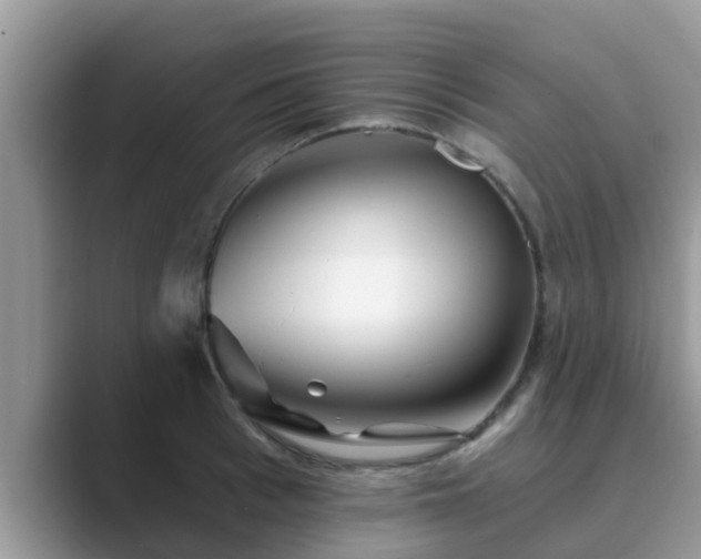 X0000089880993200707051207