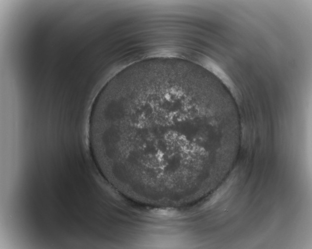 X0000089880994200707051207