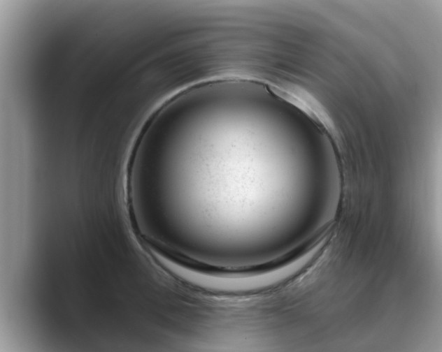 X0000089880996200707051207