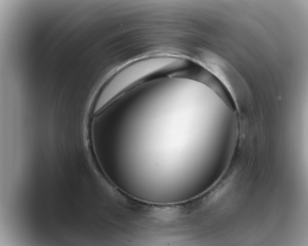 X0000089880997200707051207