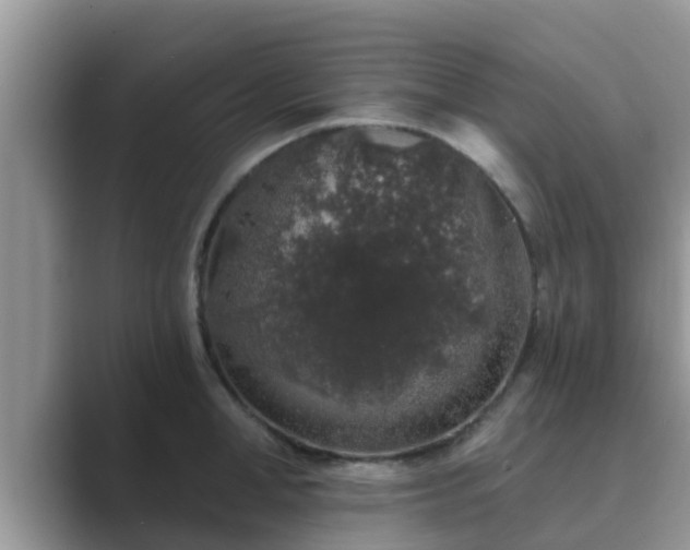 X0000089880998200707051207