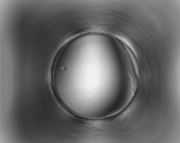 X0000089880999200707051207