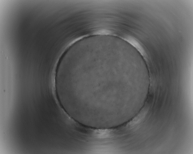 X0000089881000200707051207