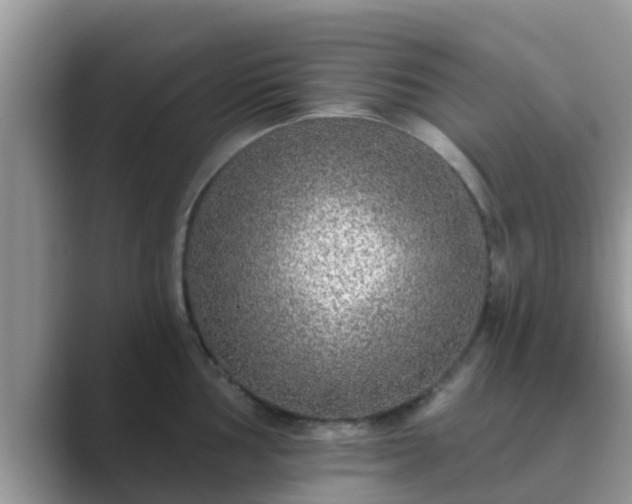 X0000089881002200707051207