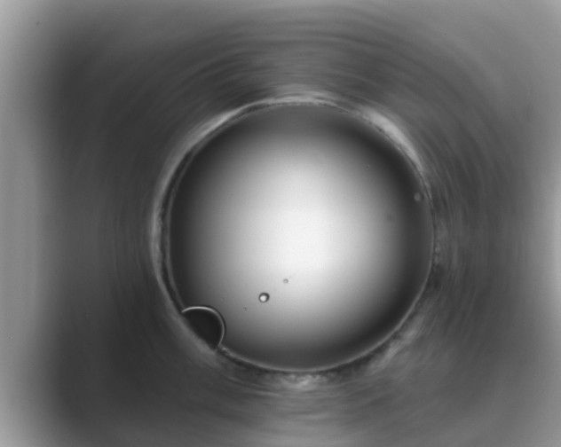 X0000089881003200707051207