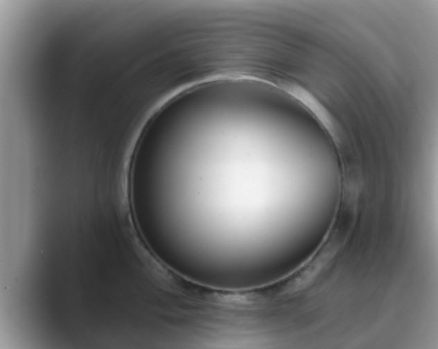 X0000089881004200707051207