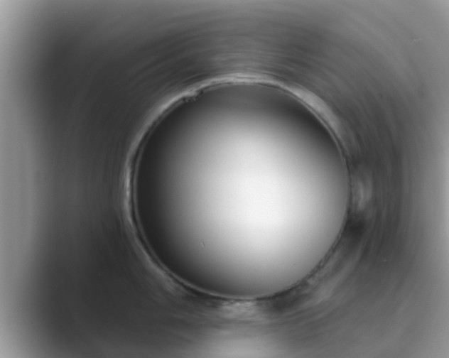 X0000089881006200707051206