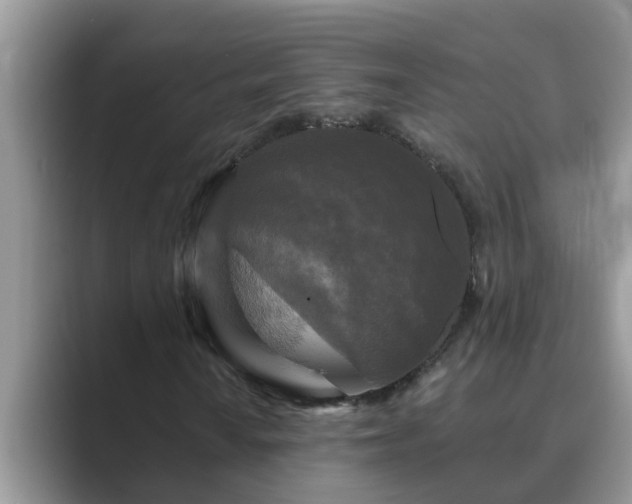 X0000089881010200707051206