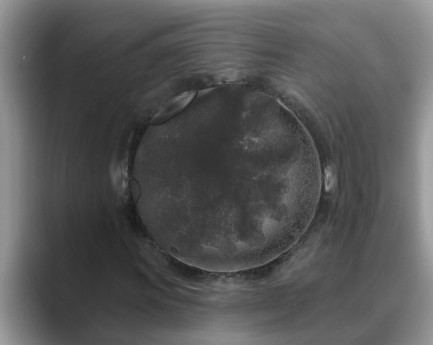 X0000089881011200707051206