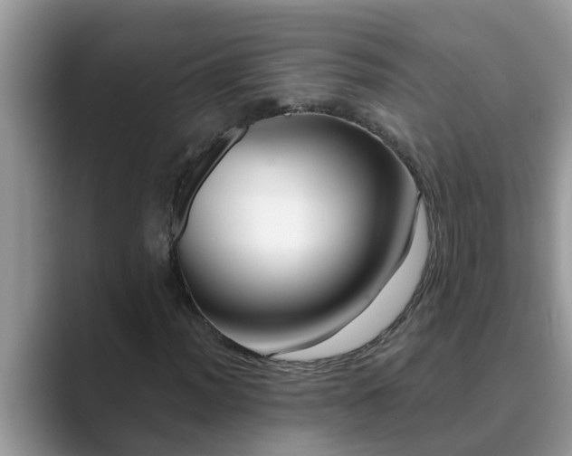 X0000089881012200707051206