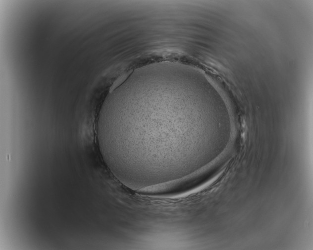 X0000089881014200707051206