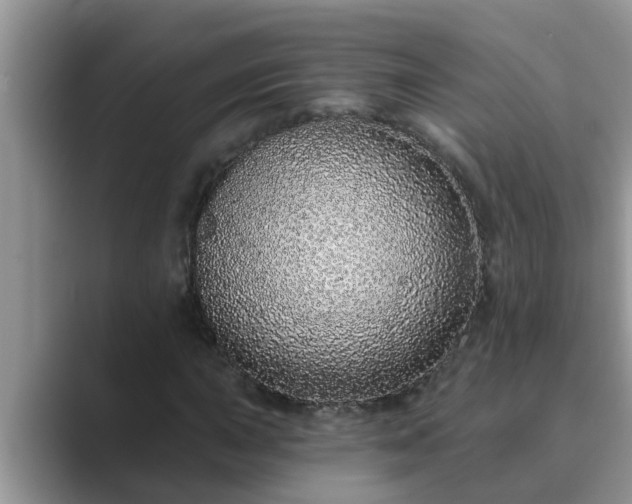 X0000089881015200707051206