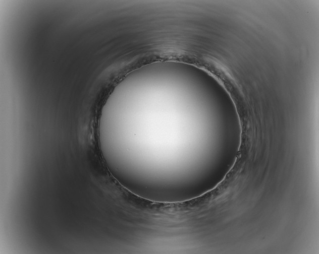 X0000089881016200707051206