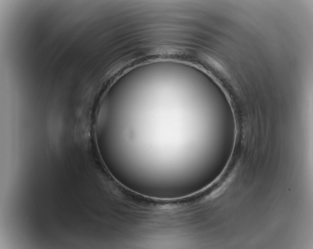 X0000089881017200707051206