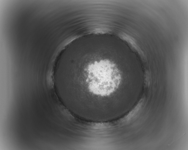 X0000089881018200707051206