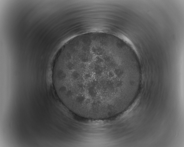 X0000089881019200707051206