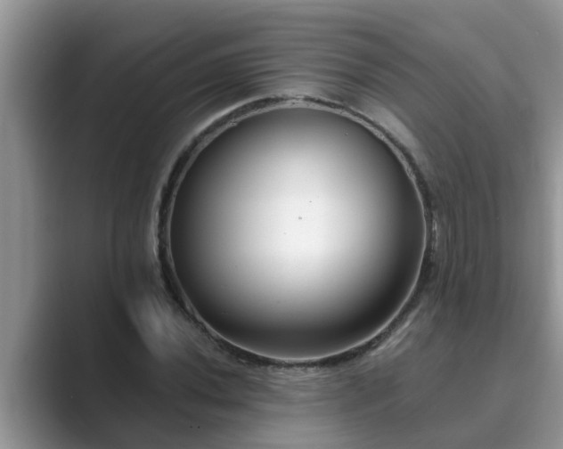 X0000089881020200707051206