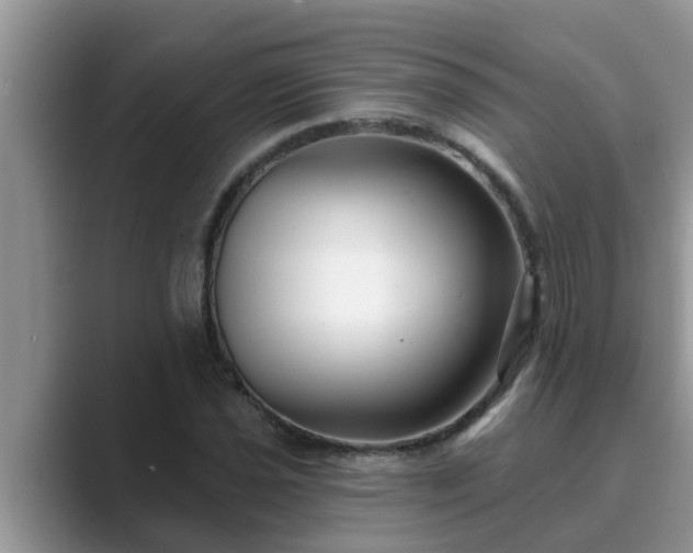 X0000089881021200707051206