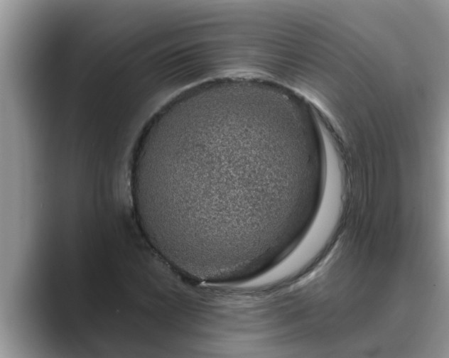 X0000089881022200707051206