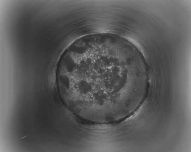 X0000089881023200707051206