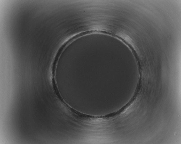 X0000089881024200707051206