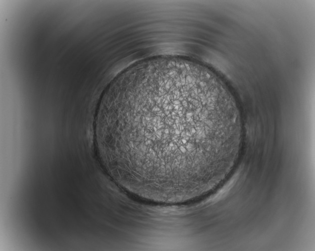 X0000089881025200707051206