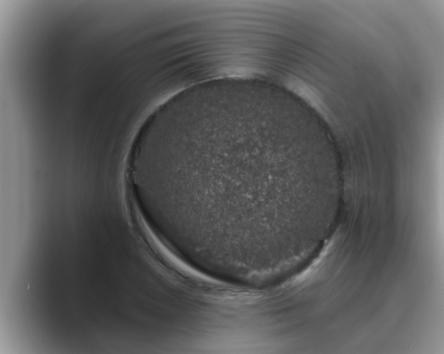 X0000089881026200707051206