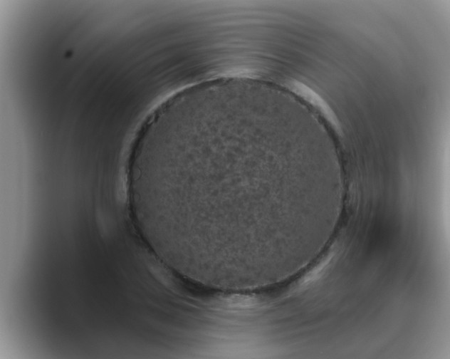 X0000089881027200707051206