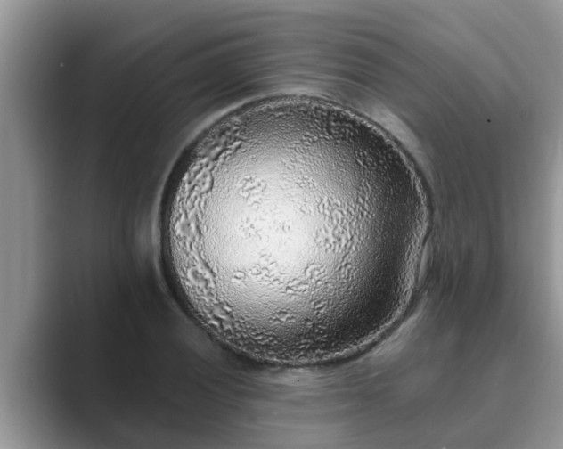 X0000089881028200707051206