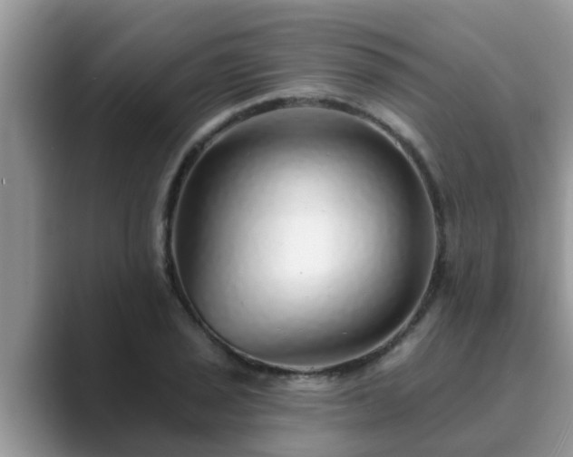 X0000089881029200707051206