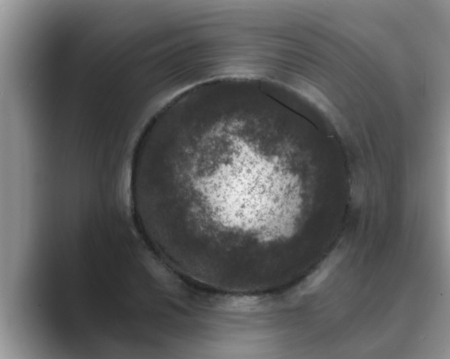 X0000089881030200707051206