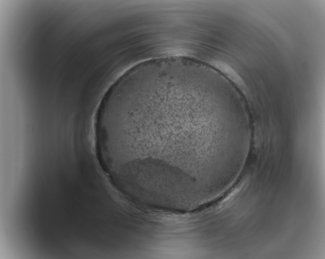 X0000089881031200707051206