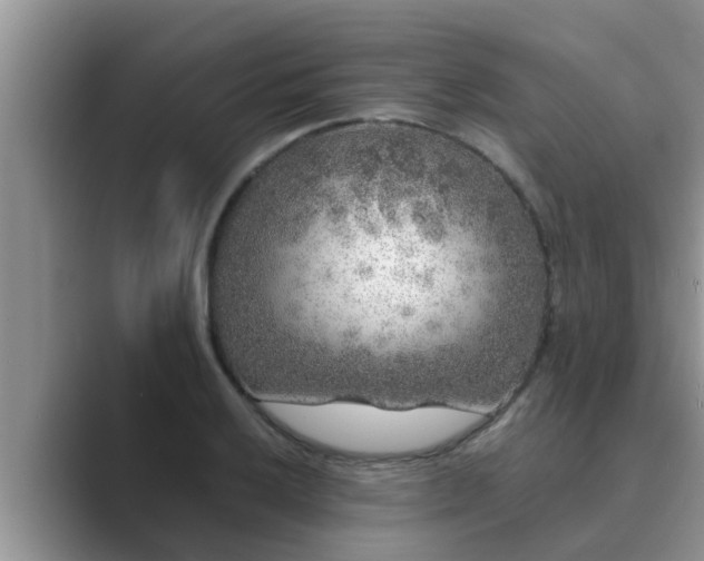 X0000089881032200707051206