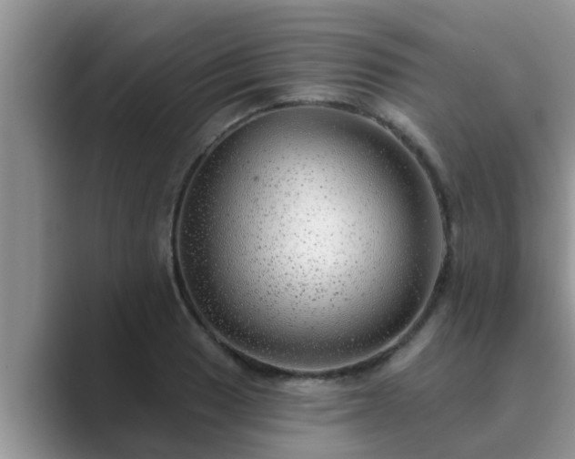 X0000089881033200707051206