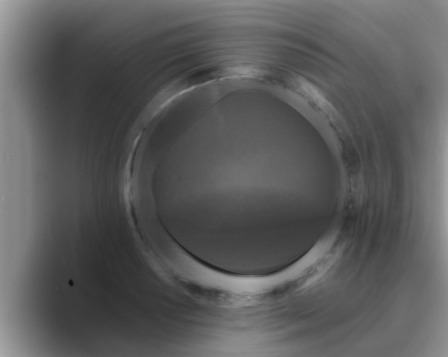 X0000089881034200707051206