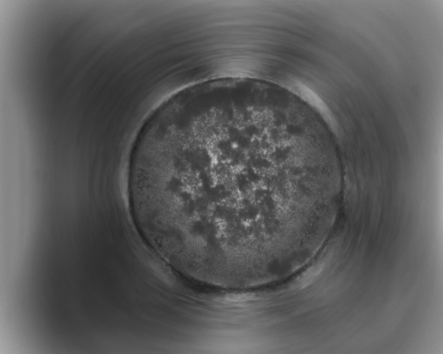 X0000089881035200707051206