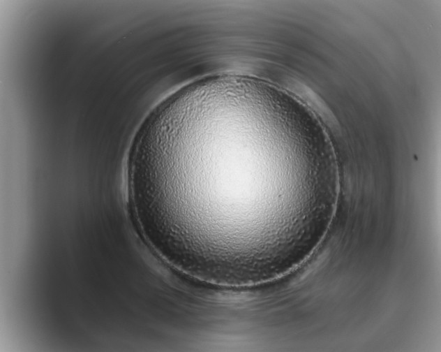 X0000089881036200707051206