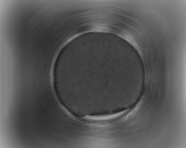 X0000089881037200707051206